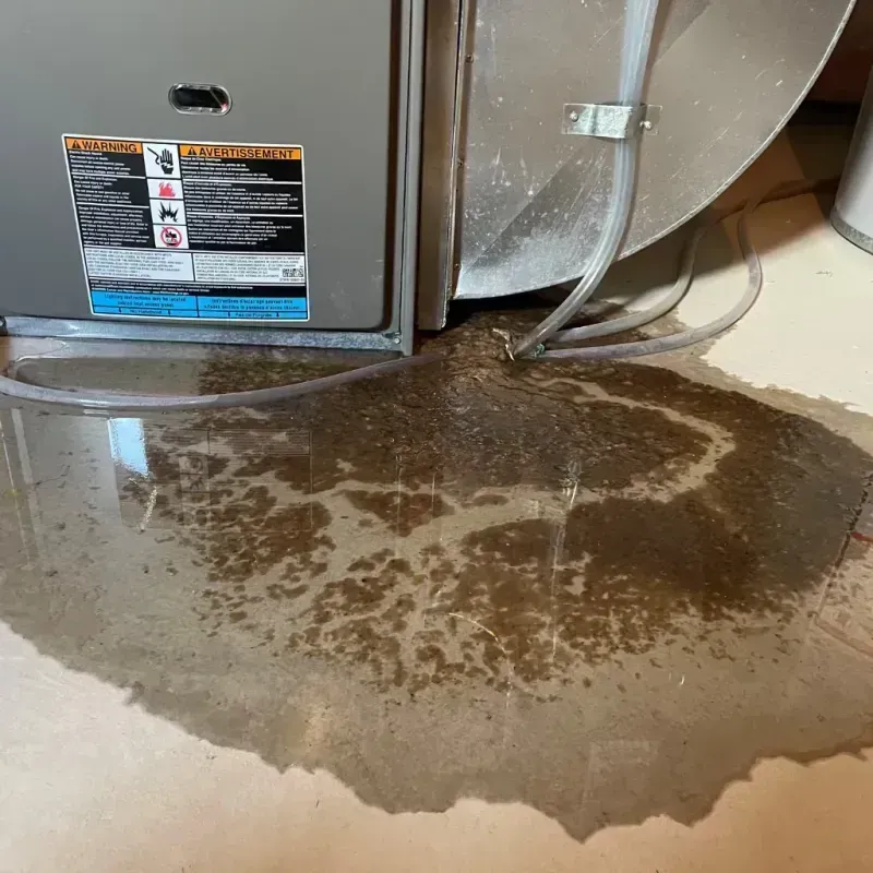 Appliance Leak Cleanup in Mission, SD